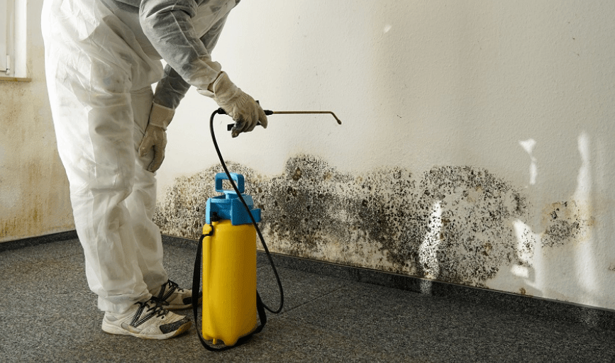 Mold Remediation